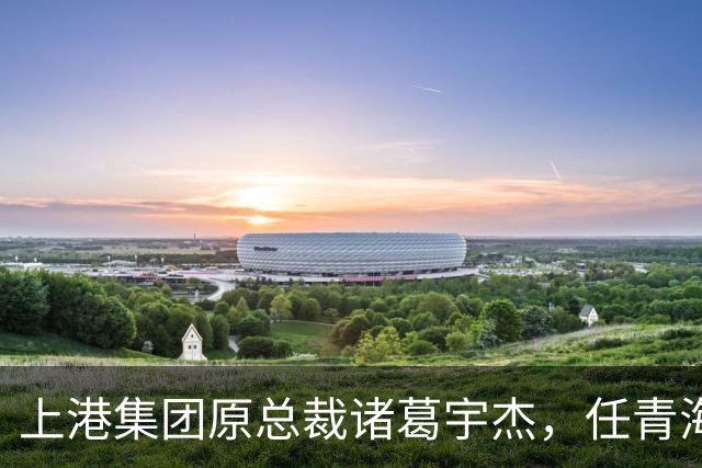 上港集团原总裁诸葛宇杰，任青海省政府党组书记