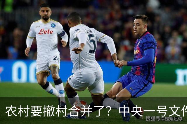 农村要撤村合并了？中央一号文件明确规定，农民必须有发言权