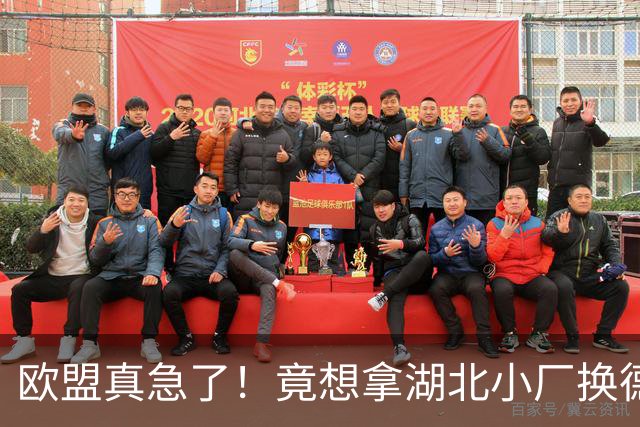 欧盟真急了！竟想拿湖北小厂换德国12人作坊，阿斯麦供应链要断了