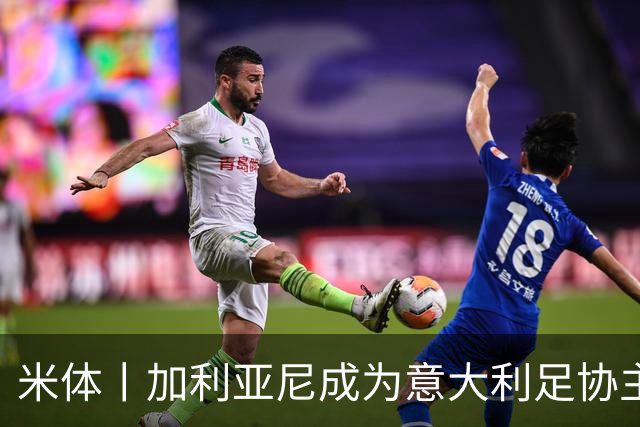 米体丨加利亚尼成为意大利足协主席热门人选